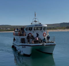 Rathlin Seals & Lighthouses Tour