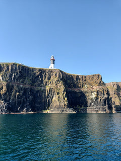 Rathlin Seals & Lighthouses Tour
