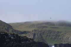 Round Rathlin Lighthouses and Landing Tour