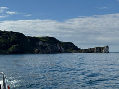 Round Rathlin Lighthouses and Landing Tour