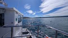 Round Rathlin Lighthouses and Landing Tour
