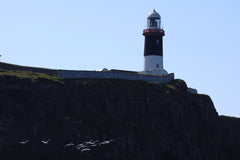 Puffins, Seals and Lighthouses Tour