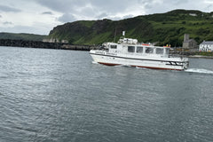 Puffins, Seals and Lighthouses Tour