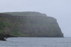 Rathlin Seals & Lighthouses Tour