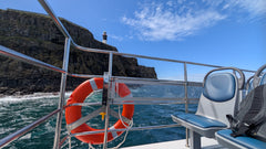 Rathlin Seals & Lighthouses Tour