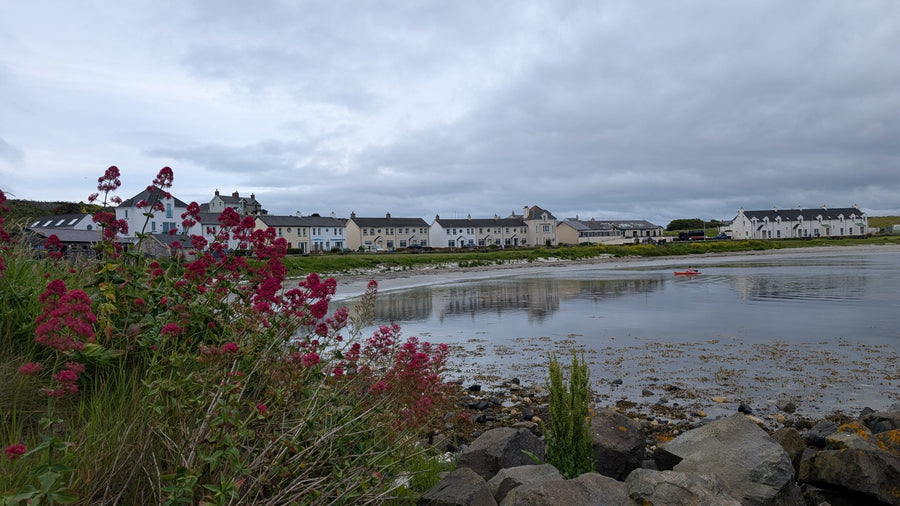 Wild Rathlin: Puffins, Seals & Lighthouses Experience with Kintra Boat Tours from Ballycastle, photo 5 of 30
