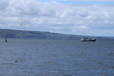 Round Rathlin Lighthouses & Landing Tour with Kintra Boat Tours from Ballycastle, photo 26 of 45