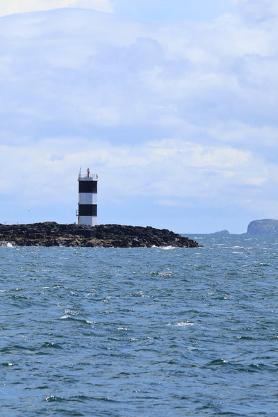 Round Rathlin Lighthouses & Landing Tour with Kintra Boat Tours from Ballycastle, photo 25 of 45