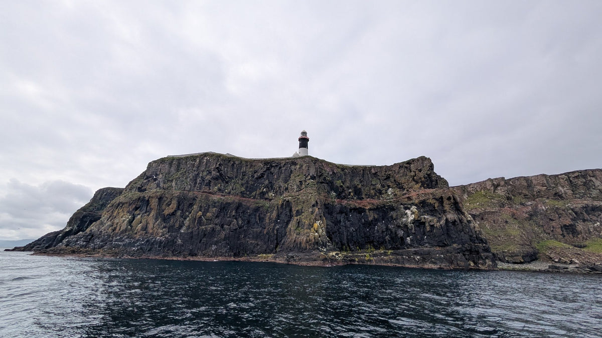 Round Rathlin Lighthouses & Landing Tour with Kintra Boat Tours from Ballycastle, photo 23 of 45