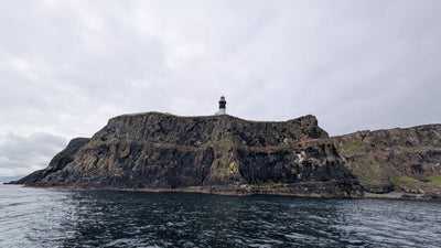 Round Rathlin Lighthouses & Landing Tour with Kintra Boat Tours from Ballycastle, photo 23 of 45
