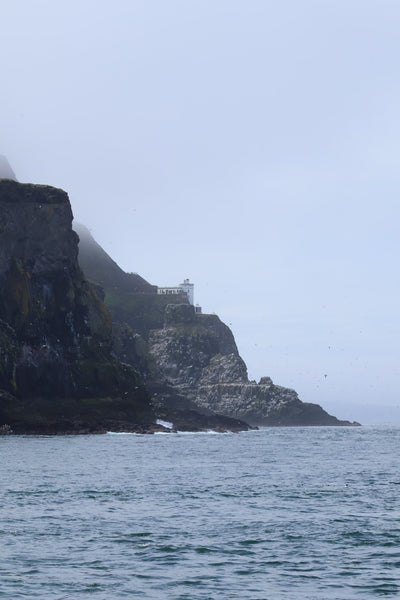 Round Rathlin Lighthouses & Landing Tour with Kintra Boat Tours from Ballycastle, photo 22 of 45