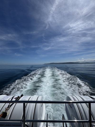 Round Rathlin Lighthouses & Landing Tour with Kintra Boat Tours from Ballycastle, photo 13 of 45