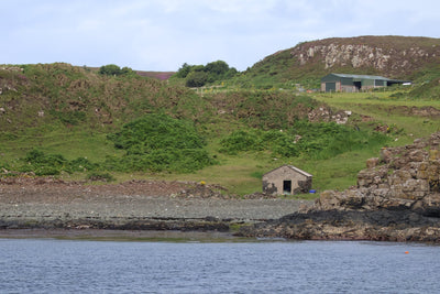 Round Rathlin Lighthouses & Landing Tour with Kintra Boat Tours from Ballycastle, photo 12 of 45