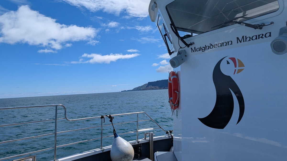 Round Rathlin Lighthouses & Landing Tour with Kintra Boat Tours from Ballycastle, photo 5 of 45