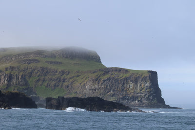 Rathlin Seals & Lighthouses Tour with Kintra Boat Tours from Ballycastle, photo 24 of 24