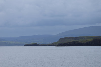 Rathlin Seals & Lighthouses Tour with Kintra Boat Tours from Ballycastle, photo 13 of 24