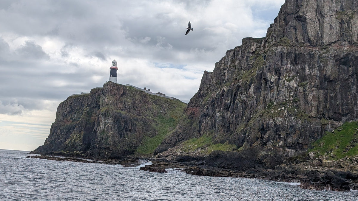 Rathlin Seals & Lighthouses Tour with Kintra Boat Tours from Ballycastle, photo 4 of 24