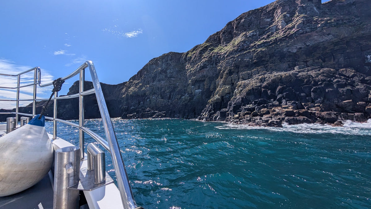 Puffins, Seals & Lighthouses Tour with Kintra Boat Tours from Ballycastle, photo 13 of 24