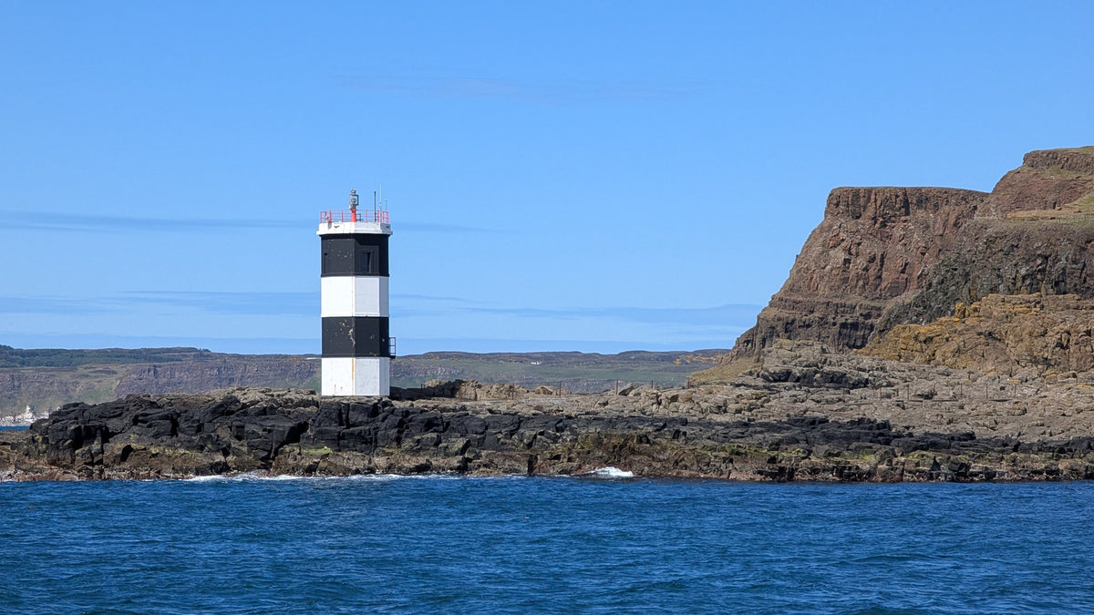 Puffins, Seals & Lighthouses Tour with Kintra Boat Tours from Ballycastle, photo 10 of 24