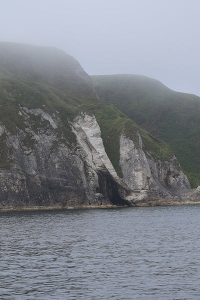 Carrick-a-Rede Rope Bridge, Cliffs, Caves & Waterfalls Tour with Kintra Boat Tours from Ballycastle, photo 25 of 30