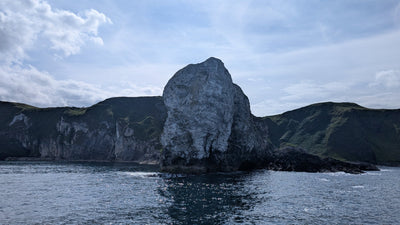 Carrick-a-Rede Rope Bridge, Cliffs, Caves & Waterfalls Tour with Kintra Boat Tours from Ballycastle, photo 19 of 30
