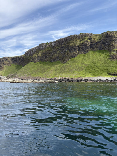 Carrick-a-Rede Rope Bridge, Cliffs, Caves & Waterfalls Tour with Kintra Boat Tours from Ballycastle, photo 18 of 30