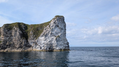 Carrick-a-Rede Rope Bridge, Cliffs, Caves & Waterfalls Tour with Kintra Boat Tours from Ballycastle, photo 16 of 30