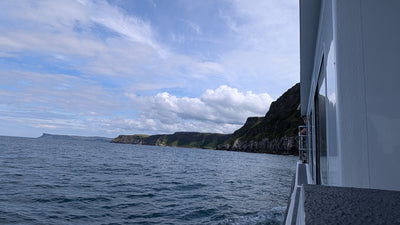 Carrick-a-Rede Rope Bridge, Cliffs, Caves & Waterfalls Tour with Kintra Boat Tours from Ballycastle, photo 10 of 30