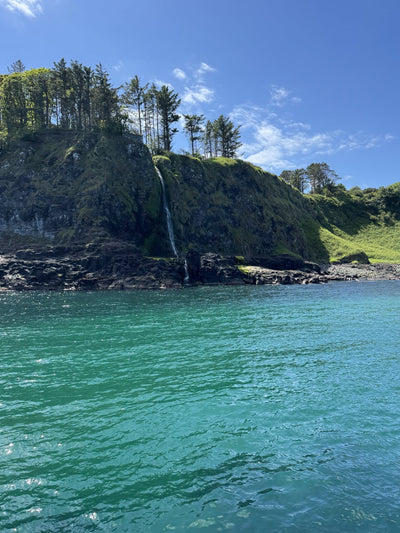 Carrick-a-Rede Rope Bridge, Cliffs, Caves & Waterfalls Tour with Kintra Boat Tours from Ballycastle, photo 9 of 30