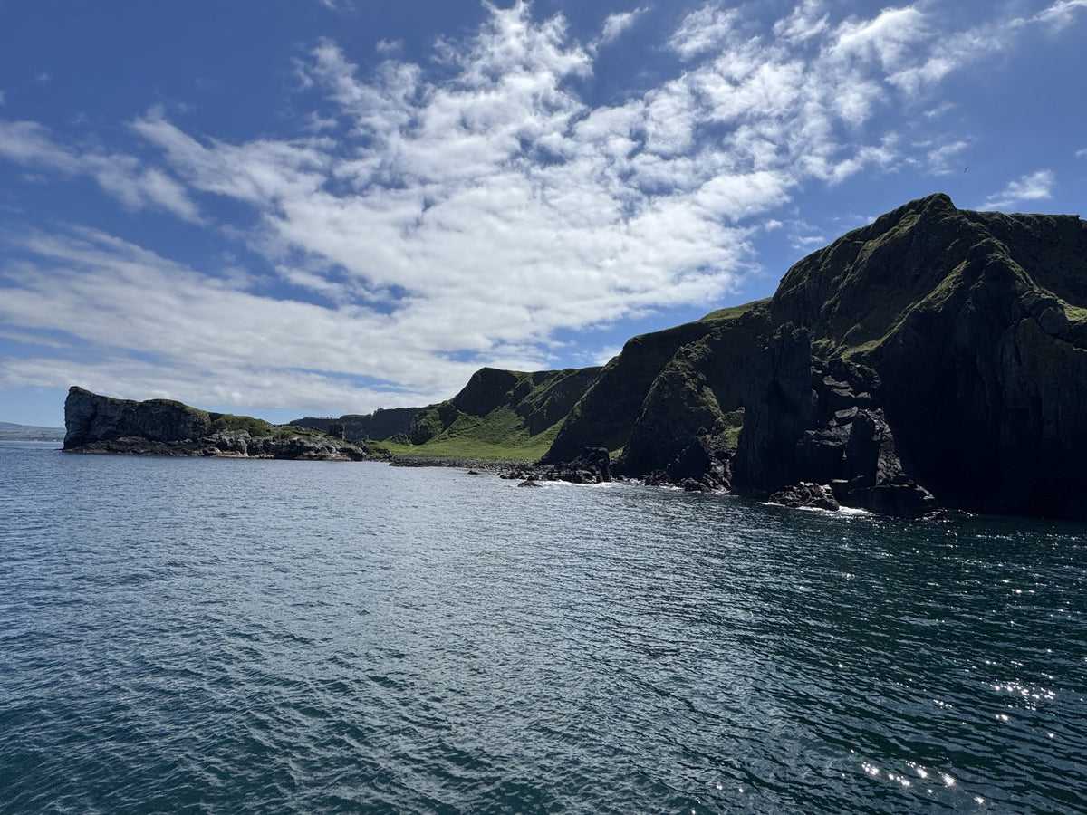 Carrick-a-Rede Rope Bridge, Cliffs, Caves & Waterfalls Tour with Kintra Boat Tours from Ballycastle, photo 7 of 30