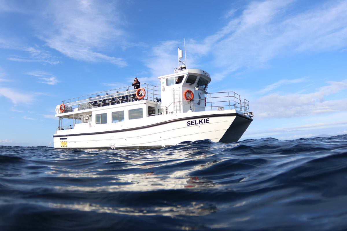 The boat Selkie photographed from the water, a crew member standing on the top deck, under a bright blue sky with scattered cloud.