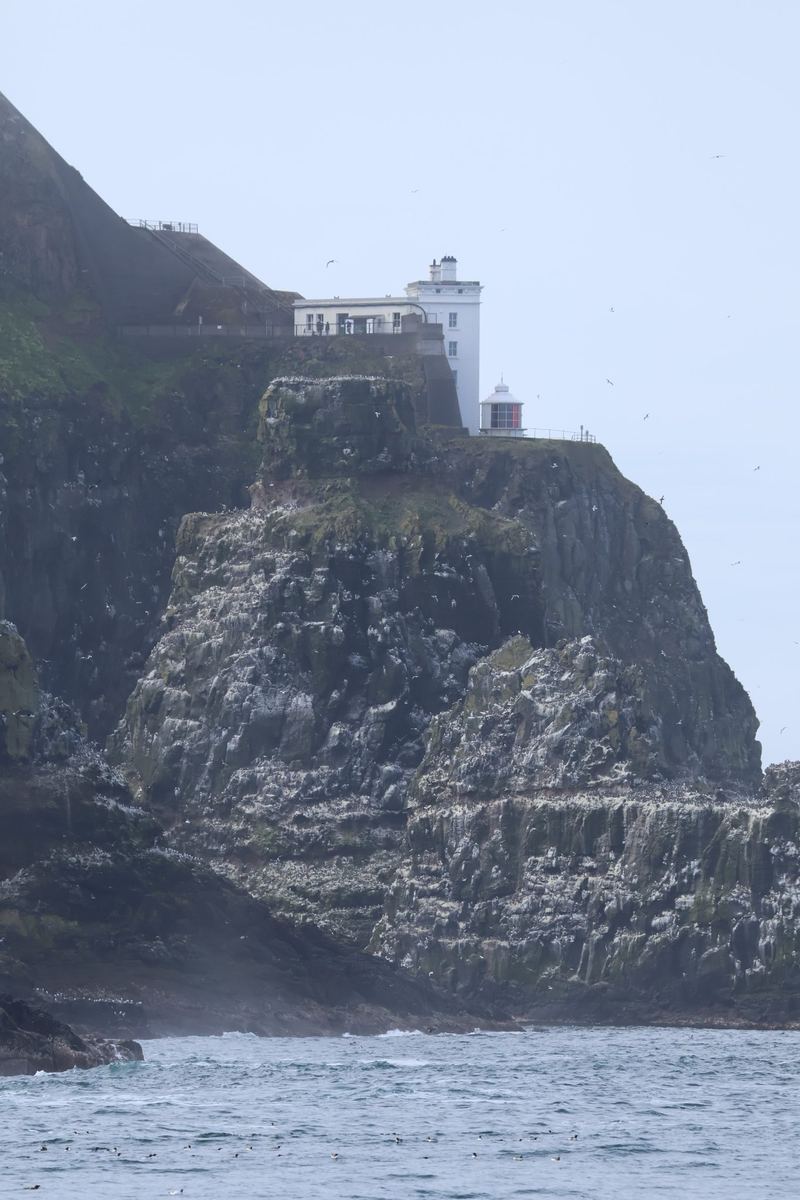 Rathlin Island