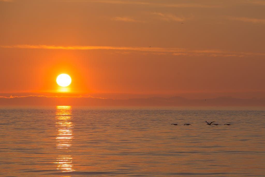 Sunsets & Sea